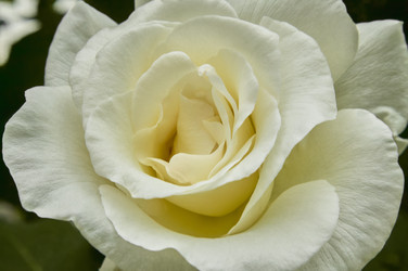Similar image 22719386
