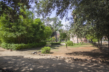 Similar image 22729153