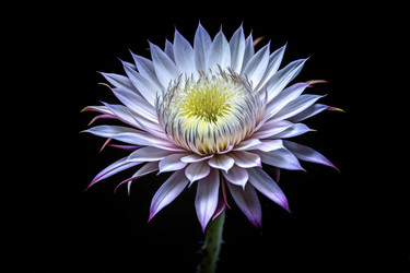 Similar image 22681728