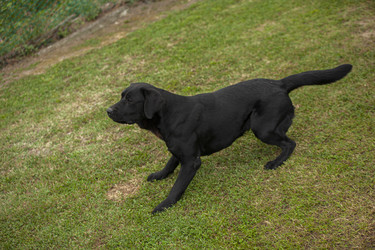 Similar image 22736632