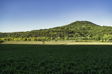 Similar image 22719403