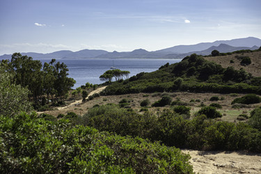 Similar image 22729126