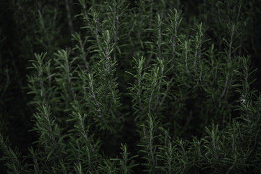 Similar image 22729347
