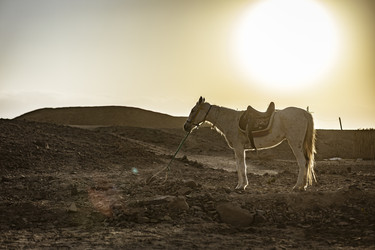 Similar image 22736576