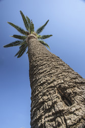 Similar image 22736590