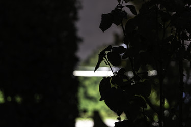 Similar image 22719315