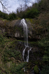 Similar image 22725719