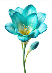 Similar image 22682917