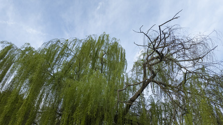 Similar image 22719191