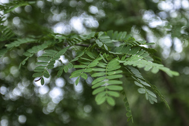 Similar image 22719266