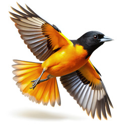 Similar image 22680886