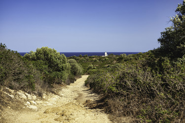 Similar image 22736817