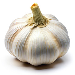 Similar image 22682082