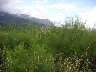 Similar image 22654378