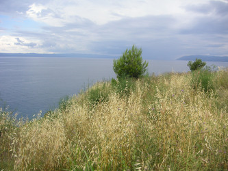 Similar image 22654379