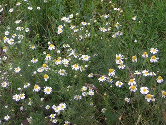 Similar image 22654381