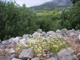 Similar image 22660069