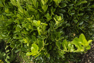 Similar image 22729348