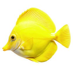 Similar image 22674840