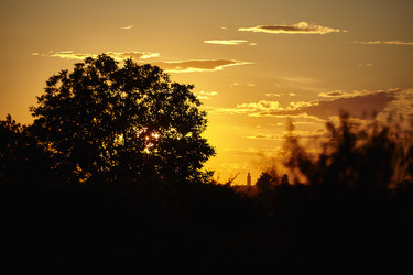 Similar image 22729459