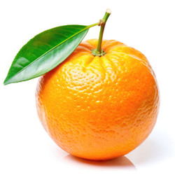 Similar image 22661030