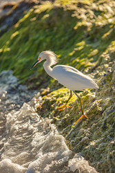 Similar image 22719075