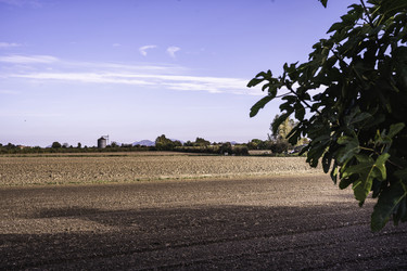 Similar image 22729460
