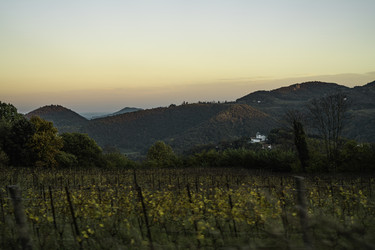 Similar image 22736637