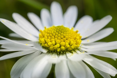 Similar image 22736638