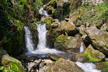 Similar image 22726032