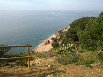 Similar image 22729008