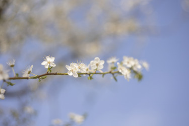 Similar image 22734487