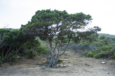 Similar image 22734517