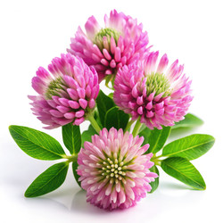 Similar image 22673145