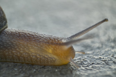 Similar image 22734113