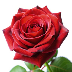 Similar image 22674035