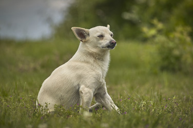 Similar image 22734546