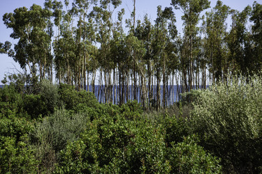 Similar image 22738951