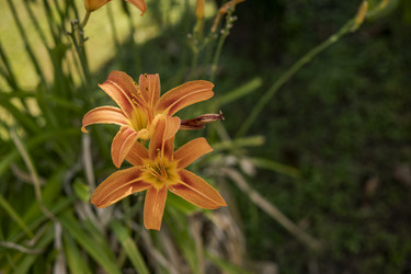 Similar image 22719360
