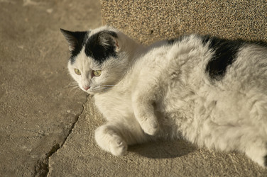 Similar image 22729232