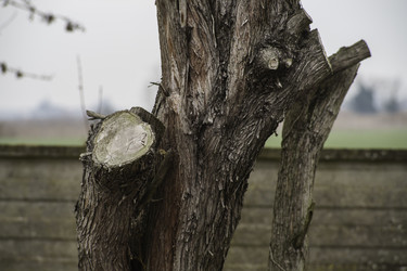 Similar image 22734261