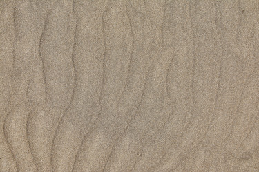 Similar image 22725840