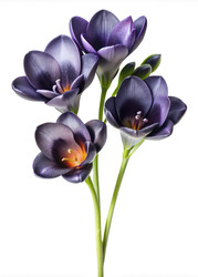 Similar image 22683011
