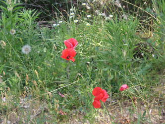 Similar image 22660057