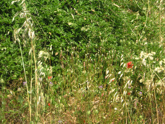 Similar image 22660059