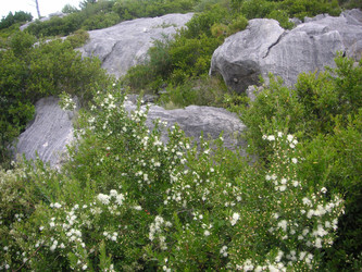 Similar image 22660070