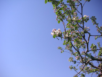 Similar image 22660071