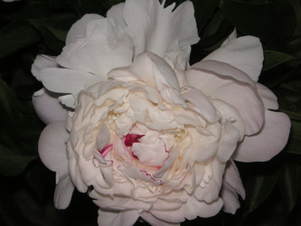 Similar image 22660072