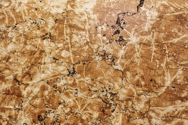 Similar image 22728605