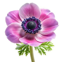 Similar image 22673164